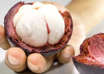 Tips Memilih Buah Manggis yang Bagus Agar Manis dan Segar