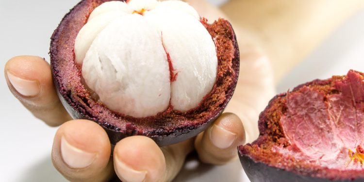 Tips Memilih Buah Manggis yang Bagus Agar Manis dan Segar