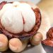 Tips Memilih Buah Manggis yang Bagus Agar Manis dan Segar