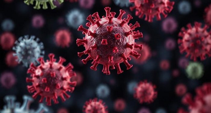 Ketahui Perbedaan Influenza A dan B