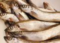 7 Jenis Ikan untuk MPASI yang Kaya Nutrisi dan Baik untuk Tumbuh Kembang Bayi