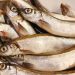 7 Jenis Ikan untuk MPASI yang Kaya Nutrisi dan Baik untuk Tumbuh Kembang Bayi