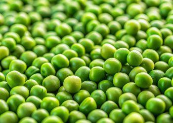 Ragam Sayuran Tinggi Protein untuk Tubuh Lebih Bertenaga