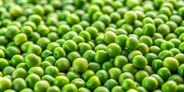 Ragam Sayuran Tinggi Protein untuk Tubuh Lebih Bertenaga