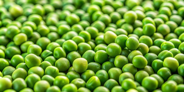 Ragam Sayuran Tinggi Protein untuk Tubuh Lebih Bertenaga