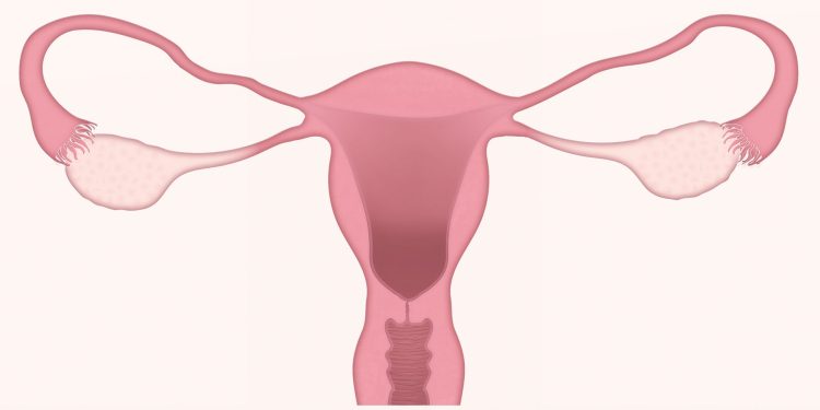 Waspadai Menopause Dini Sejak Usia Muda, Ini Penyebabnya!