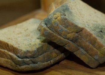 Makanan yang Sudah Berjamur Apakah Masih Aman untuk Dikonsumsi? Berikut Penjelasannya