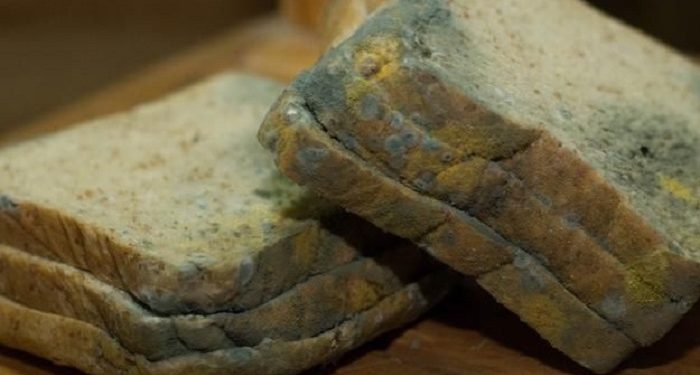 Makanan yang Sudah Berjamur Apakah Masih Aman untuk Dikonsumsi? Berikut Penjelasannya