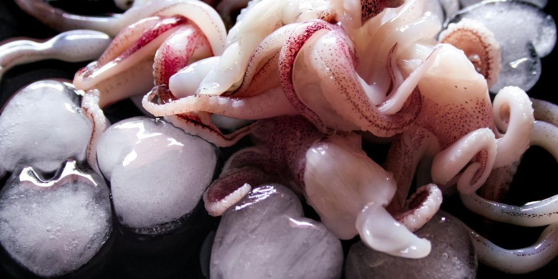 Rahasia Memasak Cumi Tetap Empuk dan Bebas Bau Amis