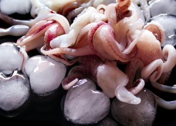 Rahasia Memasak Cumi Tetap Empuk dan Bebas Bau Amis