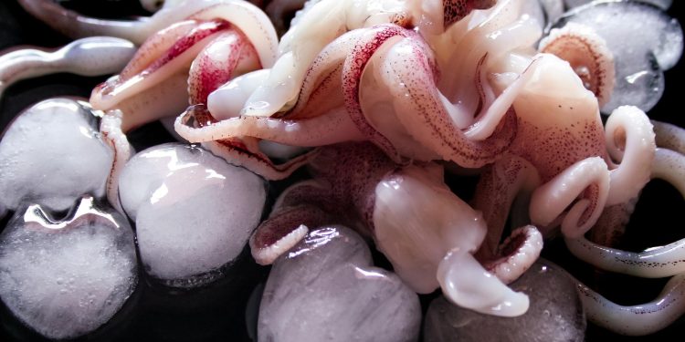 Rahasia Memasak Cumi Tetap Empuk dan Bebas Bau Amis