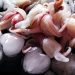 Rahasia Memasak Cumi Tetap Empuk dan Bebas Bau Amis