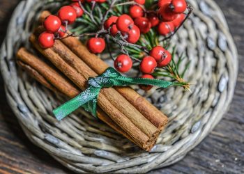 Simak Ragam Bahan Herbal untuk Mempercepat Penyembuhan Kista