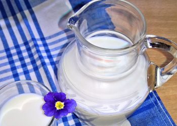 Ragam Kebaikan Susu Gandum untuk Tubuh yang Lebih Sehat