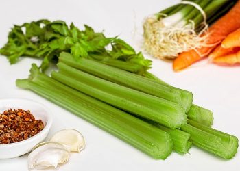 Berbagai Manfaat dari Jus Seledri Simak di Sini