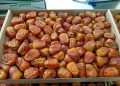 Inilah Ragam Manfaat dari Kurma Sukkari Almond untuk Kesehatan