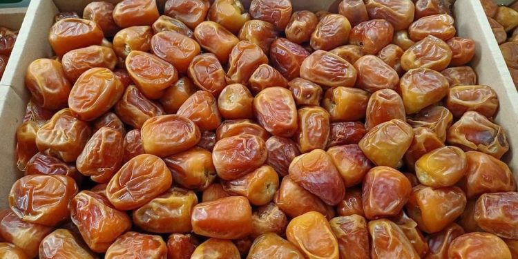 Inilah Ragam Manfaat dari Kurma Sukkari Almond untuk Kesehatan