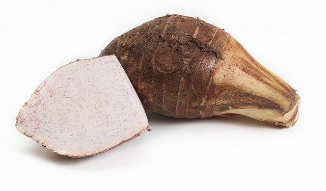 Kreasi Talas Lezat untuk Menu Rumahan
