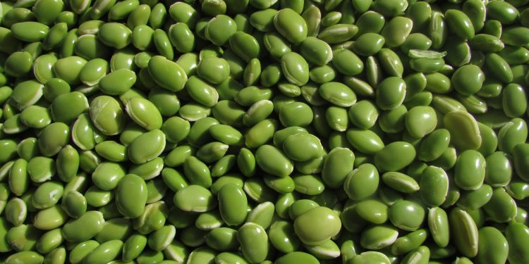 Trik Memasak Kacang Hijau Agar Empuk Tanpa Boros Gas