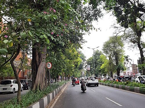 Ingin Liburan Hemat Sambil Menyusuri Jejak Sejarah Kota Malang? Simak Rekomendasinya di Sini!