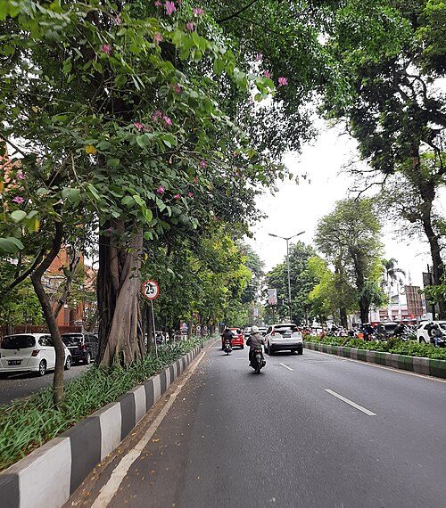 Ingin Liburan Hemat Sambil Menyusuri Jejak Sejarah Kota Malang? Simak Rekomendasinya di Sini!