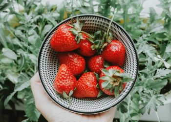 5 Rekomendasi Camilan Sehat Anak dari Buah Stroberi yang Lezat dan Praktis
