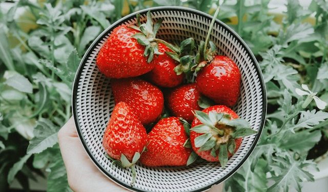 5 Rekomendasi Camilan Sehat Anak dari Buah Stroberi yang Lezat dan Praktis