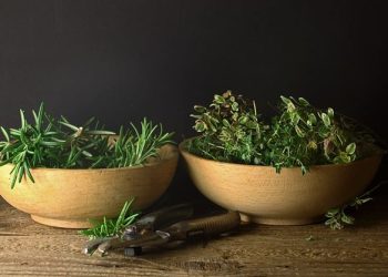 5 Herbal Alami Ini Membantu Atasi Rambut Rontok bagi Perempuan Berhijab