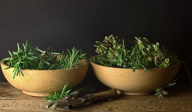 5 Herbal Alami Ini Membantu Atasi Rambut Rontok bagi Perempuan Berhijab