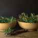 5 Herbal Alami Ini Membantu Atasi Rambut Rontok bagi Perempuan Berhijab