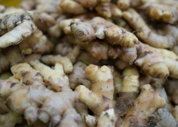 6 Manfaat Air Rebusan Jahe dan Sereh untuk Kesehatan Tubuh