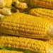 Jangan Dibuang Dulu! Ini 5 Manfaat Air Rebusan Jagung untuk Kesehatan yang Jarang Diketahui Banyak Orang