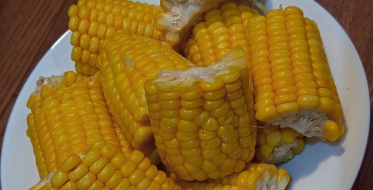 Tips Merebus Jagung agar Manis Alaminya Tetap Terjaga