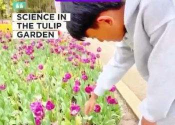 JISc Immersion Student ke Perth, Belajar Sains Langsung di Tengah Taman Tulip Australia