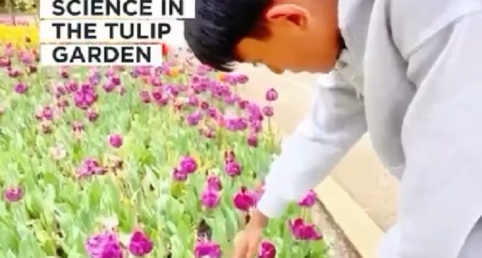 JISc Immersion Student ke Perth, Belajar Sains Langsung di Tengah Taman Tulip Australia