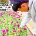 JISc Immersion Student ke Perth, Belajar Sains Langsung di Tengah Taman Tulip Australia