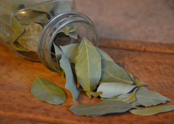 Jarang Diketahui Ini 5 Manfaat Daun Salam untuk Kesehatan Tubuh