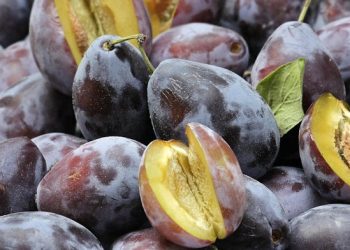 Jangan Cepat Dibuang, Ini Buah yang Lebih Baik Dimakan dengan Kulitnya!
