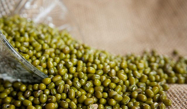 Rahasia Memasak Kacang Hijau agar Warnanya Tetap Hijau