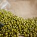 Rahasia Memasak Kacang Hijau agar Warnanya Tetap Hijau