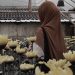 Sudahkah Kamu Belajar dari 5 Wanita Mulia dalam Islam Ini?