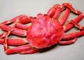 Bagaimana Cara Membersihkan Kepiting yang Benar dan Higienis Sebelum Dimasak?