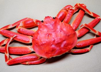 Bagaimana Cara Membersihkan Kepiting yang Benar dan Higienis Sebelum Dimasak?