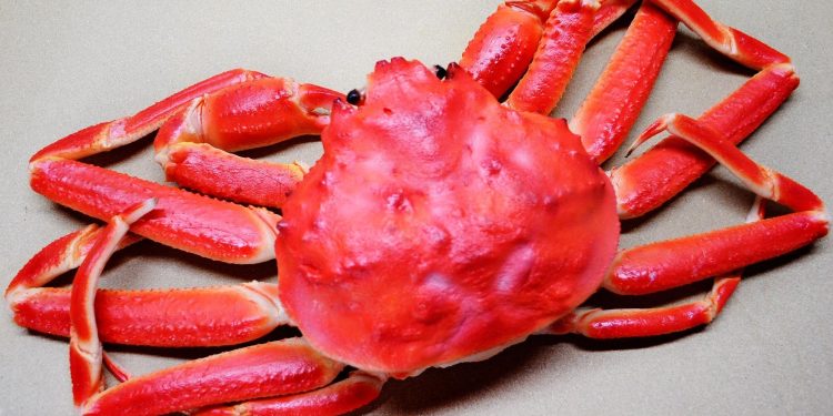 Bagaimana Cara Membersihkan Kepiting yang Benar dan Higienis Sebelum Dimasak?