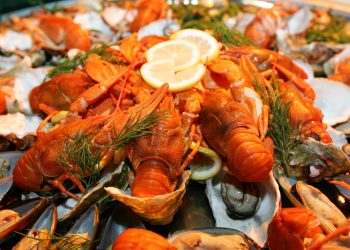 Bagaimana Cara Membersihkan Lobster Sebelum Dimasak agar Bersih dan Tidak Amis?