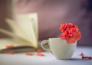 Ketenangan Hati Datang dari Allah Bukan Sekadar Keadaan yang Berubah