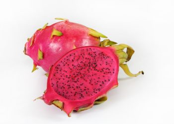 Begini Cara yang Tepat Memilih Buah Naga Sebelum Dikonsumsi