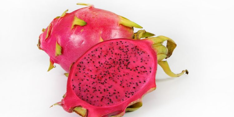 Begini Cara yang Tepat Memilih Buah Naga Sebelum Dikonsumsi