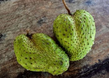 Benarkah Buah Ini Bisa Menangkal Penyakit Kronis? Simak 7 Manfaat Jus Sirsak yang Jarang Diketahui!