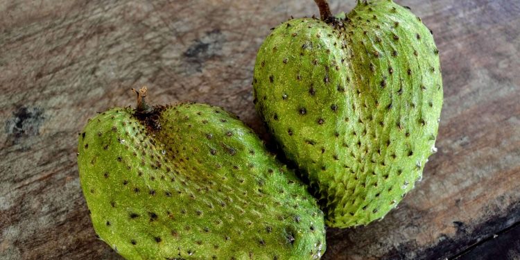 Benarkah Buah Ini Bisa Menangkal Penyakit Kronis? Simak 7 Manfaat Jus Sirsak yang Jarang Diketahui!